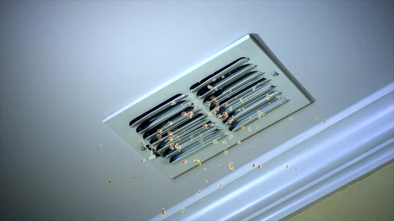 Best Affordable HVAC Duct Cleaning  in Crownsville, MD