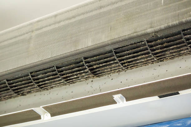 Best Air Duct Cleaning Near Me  in Crownsville, MD